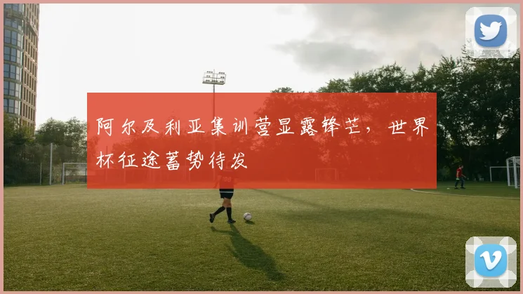 阿尔及利亚集训营显露锋芒，世界杯征途蓄势待发
