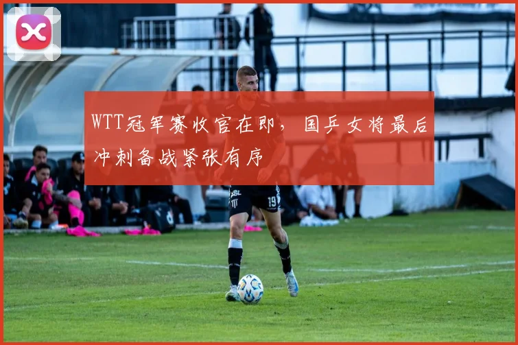WTT冠军赛收官在即，国乒女将最后冲刺备战紧张有序