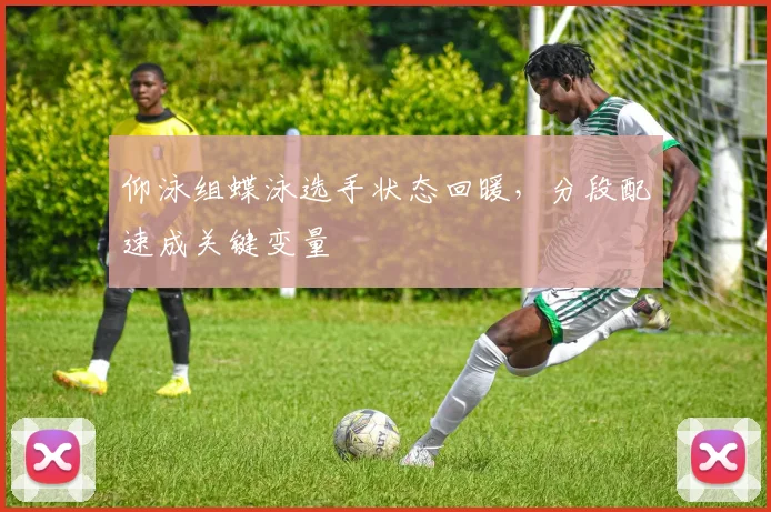仰泳组蝶泳选手状态回暖，分段配速成关键变量